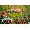 Home Park Stadium Fine Art Print - Plymouth Argyle FC